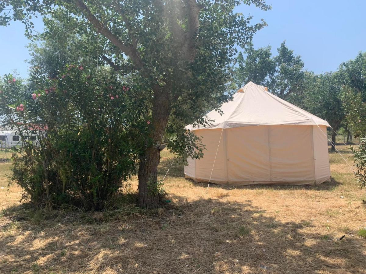 Luxury Paliouri