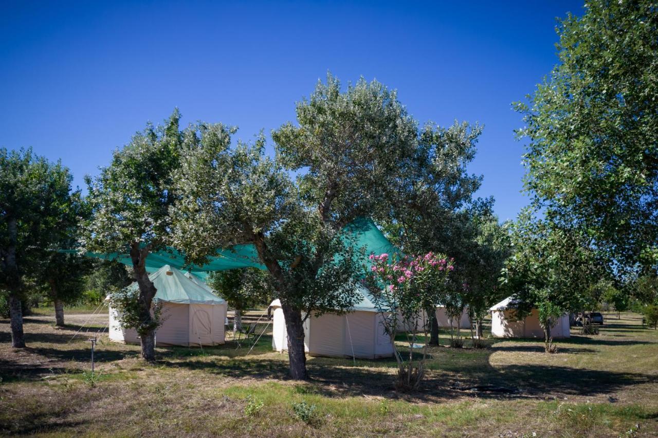Luxury Lüks kamp alanı