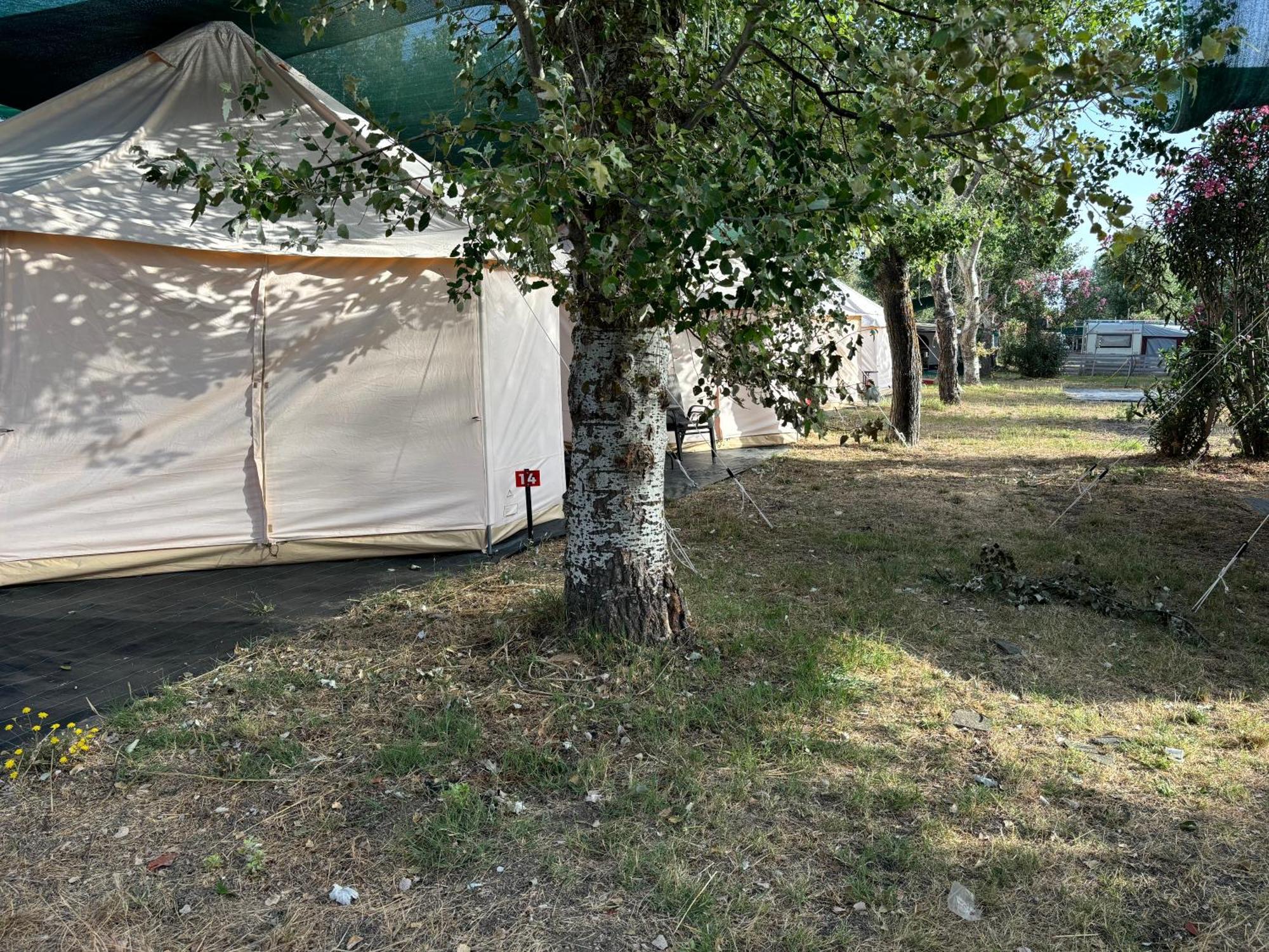 Luxury Paliouri