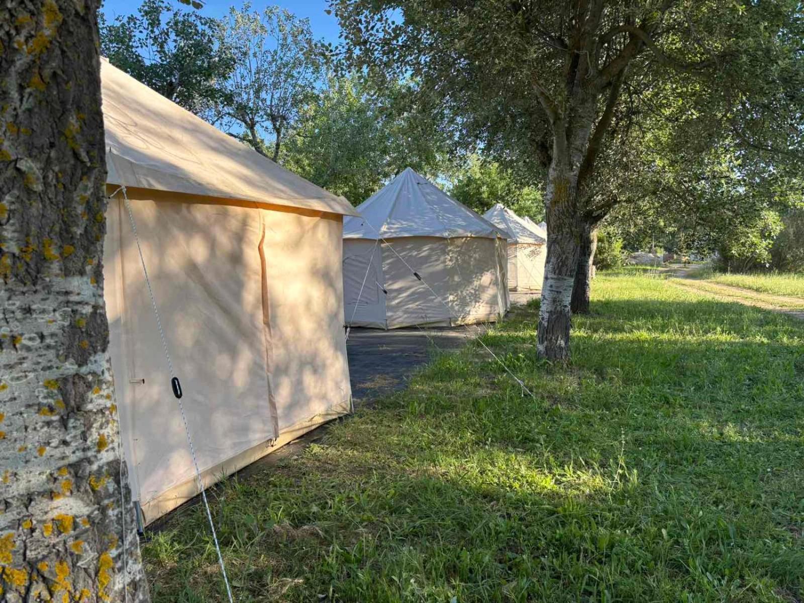 Luxury Luxury tent *