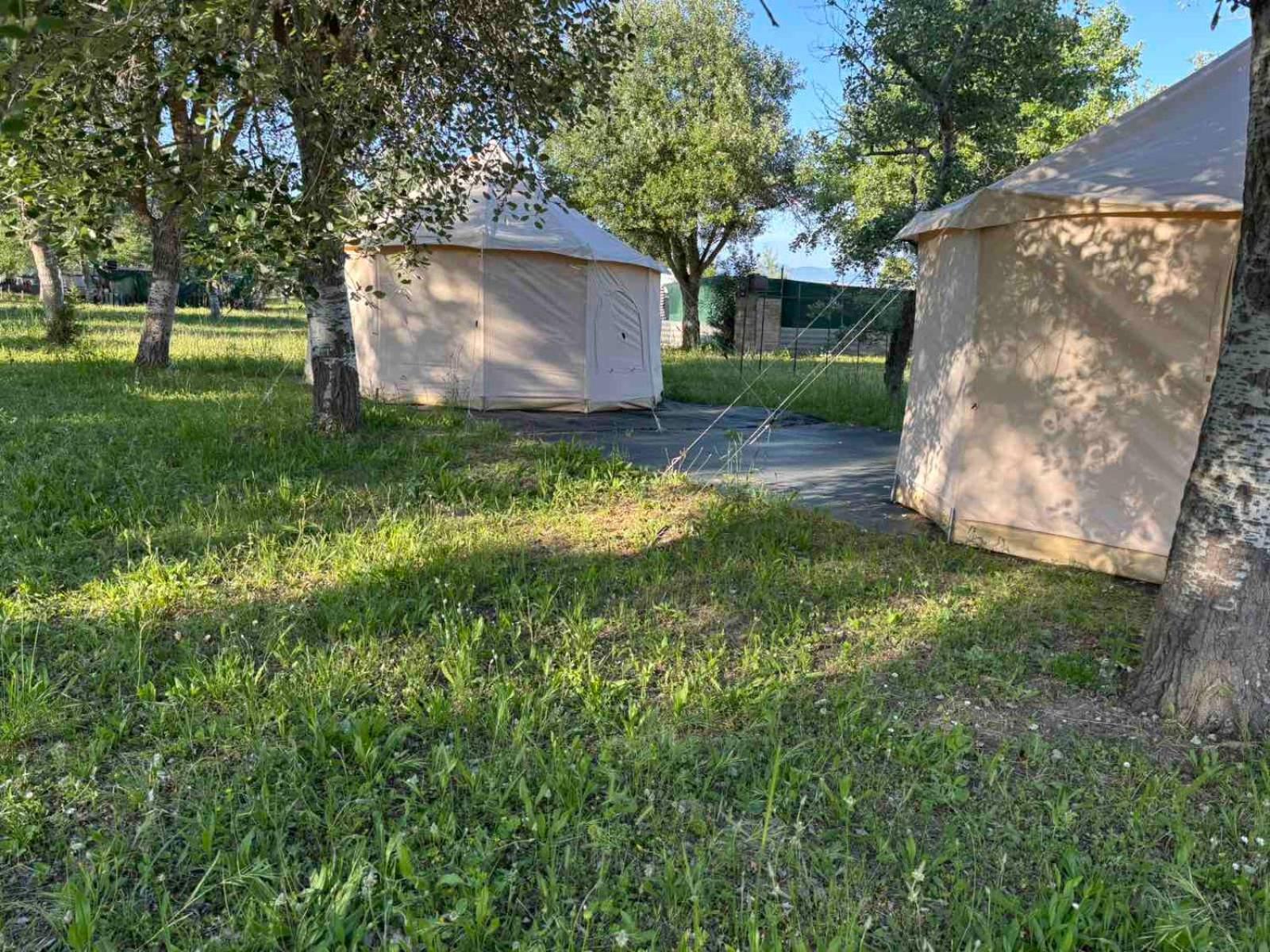 Luxury Luxury tent Paliouri
